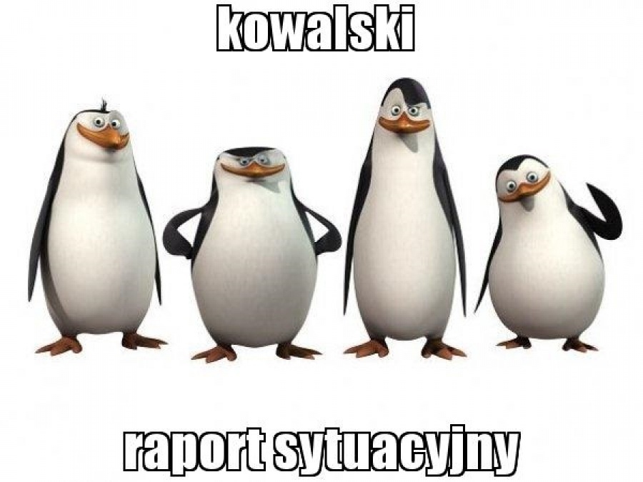 Raporty o bÅÄdnym wdroÅ¼eniu AMP w serwisie zostaÅy zaktualizowane